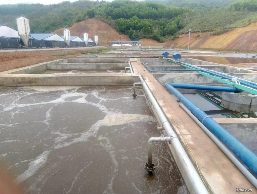 Xử lý nước thải chăn nuôi tại Bình Dương