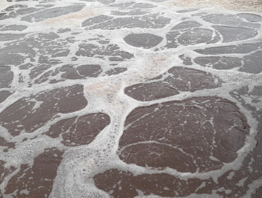 Xử lý nước thải Chợ