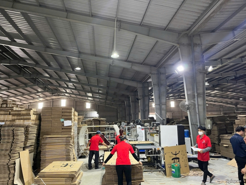 Nhân viên kinh doanh ngành bao bì giấy carton