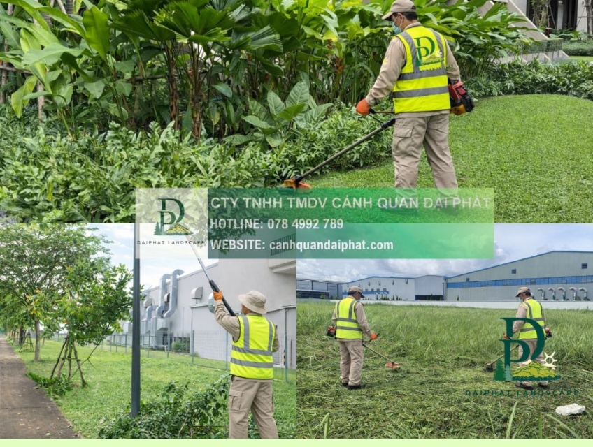 Chăm sóc cây xanh Cắt cỏ KCN Biên Hòa Đồng Nai