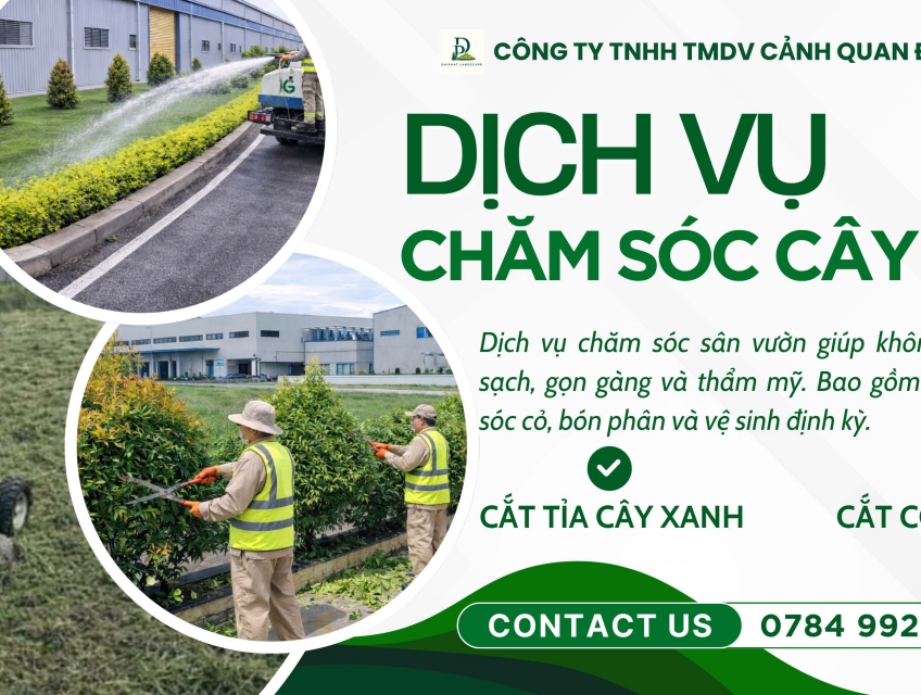 Dịch vụ cắt cỏ, chăm sóc cây xanh tại Long Thành Đồng Nai uy tín