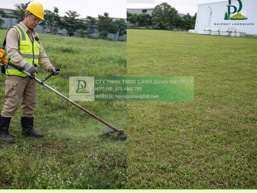 DỊCH VỤ CẮT CỎ – CHĂM SÓC CÂY XANH KCN LỘC AN BÌNH SƠN ĐỒNG NAI