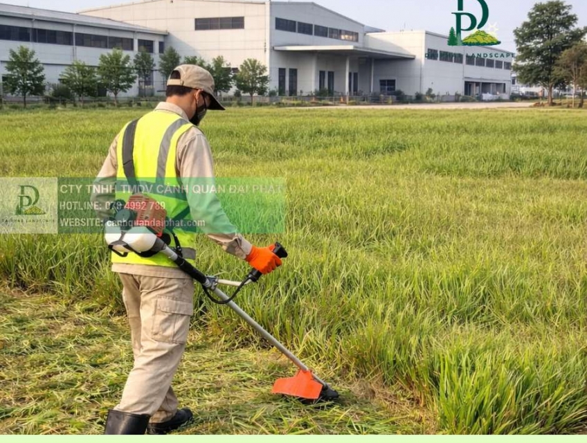 DỊCH VỤ CẮT CỎ – CHĂM SÓC CÂY XANH BIÊN HÒA ĐỒNG NAI | CHUYÊN NGHIỆP