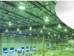 Những thông tin trong ngành đèn led nhà xưởng