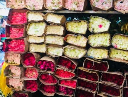 Cung Cấp Sỉ Và Lẻ Hoa Tươi Đà Lạt