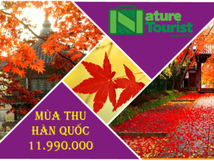 MÙA THU HÀN QUỐC - CẢNH ĐẸP QUYẾN RỦ - CHƯƠNG TRÌNH HẤP DẪN