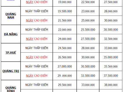 Cho thuê xe về quê ăn tết 2019