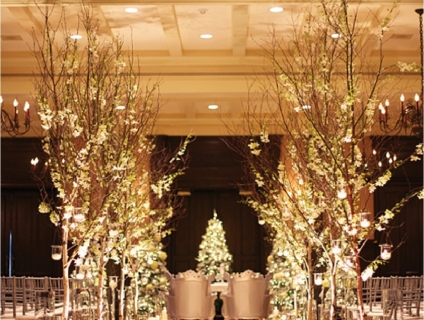 BÁN CÂY KHÔ, CÂY SƠN TRẮNG, CÂY HOA ANH ĐÀO