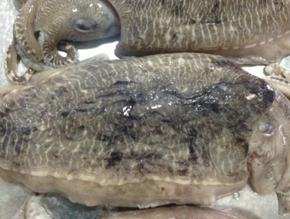 mực nang tươi, mực nang làm sạch giá tốt