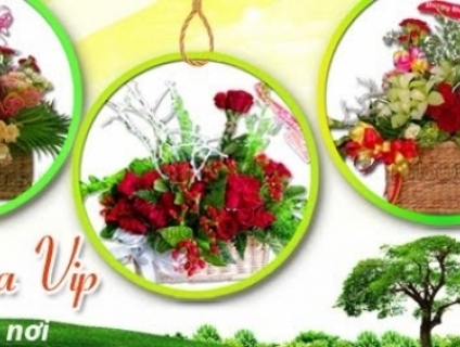 Hoa Tươi Quận 11