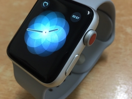 Bán Apple Watch Series 3 (42mm) GPS + Cellular hàng Mỹ.