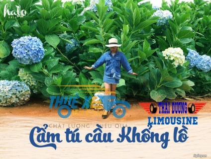 Private limousine Tour Cu Chi Tunnels & Mekong Delta 1 Day