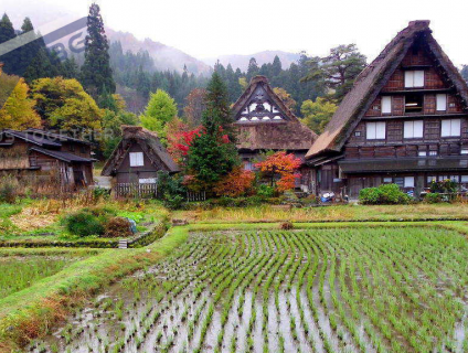 3 nét đẹp cổ xưa khi du lịch đến Nhật Bản hiện đại