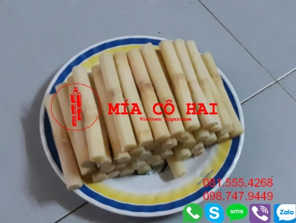 Cung Cấp Mía Chạo Tôm 0815554268