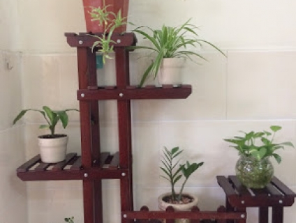 Kệ trang trí để cây cảnh, Kệ gỗ trang trí hàng xuất khẩu