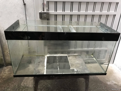 Thanh lý hồ thủy tinh nuôi cá ET 23h00 19/09/19