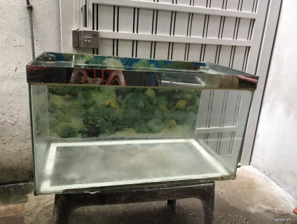 Thanh lý hồ thủy tinh nuôi cá ET 23h00 23/09/19
