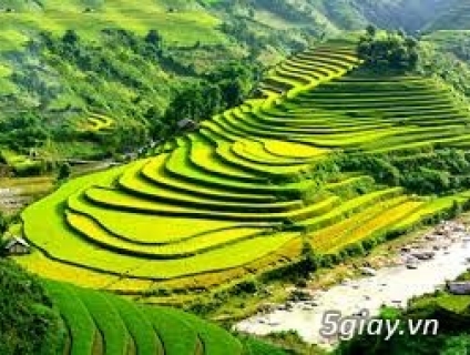 Tour Hà Nội- Sapa 4 ngày 3 đêm giá rẻ