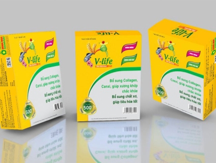 In hộp thuốc tây tại Đà Nẵng