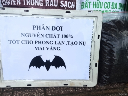 PHÂN DƠI NGUYÊN CHẤT