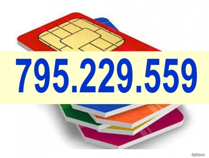 Sim số đẹp Mobi - Vina - Viettel giá chỉ từ 200k