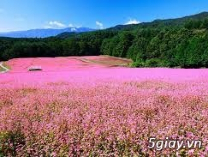 TOUR GIỜ CHÓT 3N2Đ HÀ GIANG KHỞI HÀNH 02/10 CHỈ 1.800K/NGƯỜI