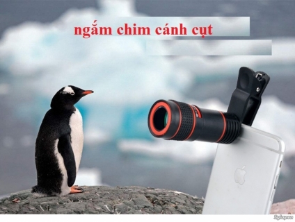 Ống nhòm gắn điện thoại quay phim chụp ảnh