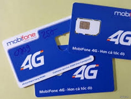 Sim phong thủy, tiền đồ tươi sáng, tràn đầy hy vọng