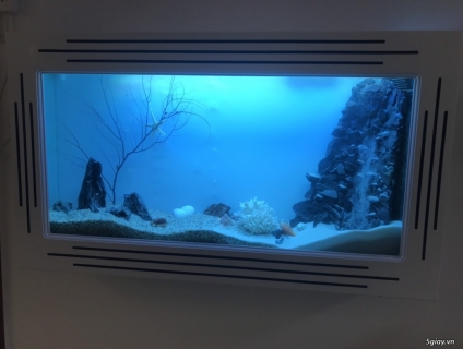 Lắp đặt mới, làm mới lại Hồ cá treo tường theo yêu cầu.