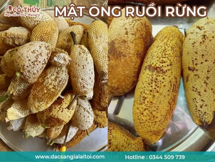 Mật ong ruồi rừng tự nhiên là là gì? Có tốt không.