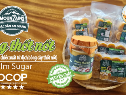 Mua đường thốt nốt ở đâu tại thành phố Hồ Chí Minh