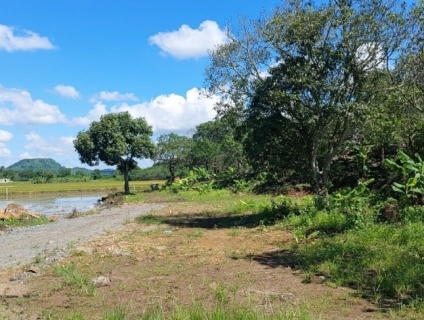 Bán đất Định Quán – Đồng Nai 1,6ha