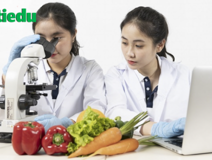 XÉT TUYỂN ĐẠI HỌC NGÀNH CÔNG NGHỆ THỰC PHẨM