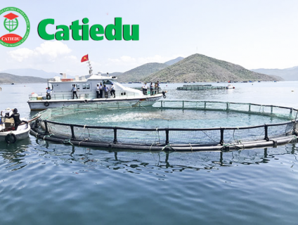 TUYỂN SINH ĐẠI HỌC NUÔI TRỒNG THỦY SẢN