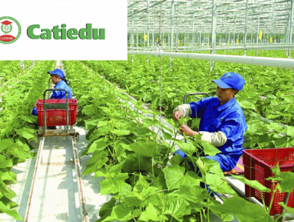 TUYỂN SINH ĐẠI HỌC NGÀNH NÔNG HỌC