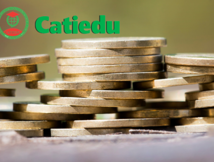 XÉT TUYỂN ĐẠI HỌC CHUYÊN NGÀNH KINH TẾ ĐẦU TƯ - CATIEDU