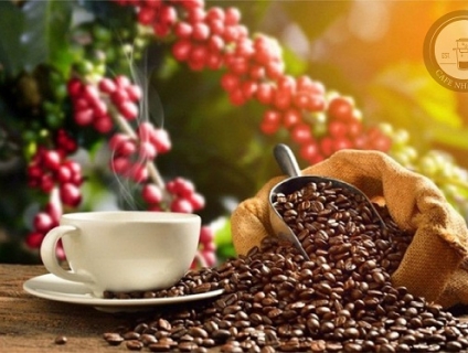 Làm thế nào để bảo quản cà phê rang xay?