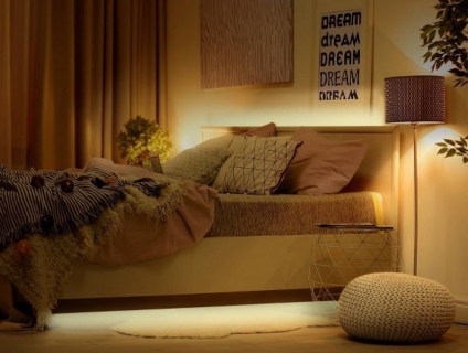 Bóng đèn Led dây Flexi 25W DC24V EX0225 ánh sáng Vàng