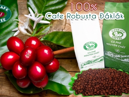 Cung cấp cafe Robusta ở Bình Dương