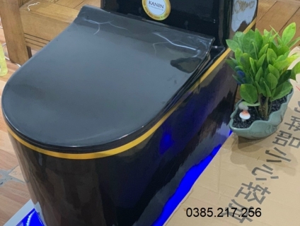 Bệt vệ sinh liền khối cao cấp