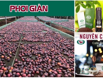 Cung cấp cafe rang xay nguyên chất ở Thủ Dầu Một - Bình Dương