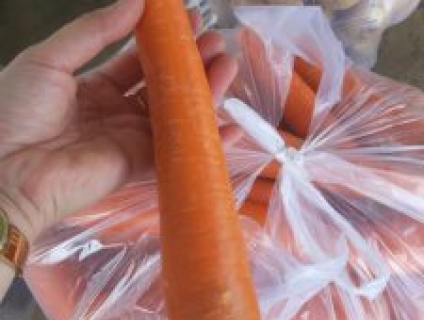 Cà rốt Đà Lạt tươi ngon – 1kg