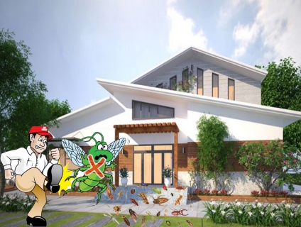 DỊCH VỤ DIỆT MỐI – PHÒNG CHỐNG MỐI NỀN MÓNG TẠI TPHCM