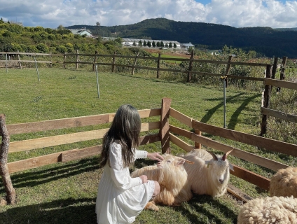 Kinh Nghiệm Du Lịch Đà Lạt Nửa Tháng - Nghiện Đà Lạt