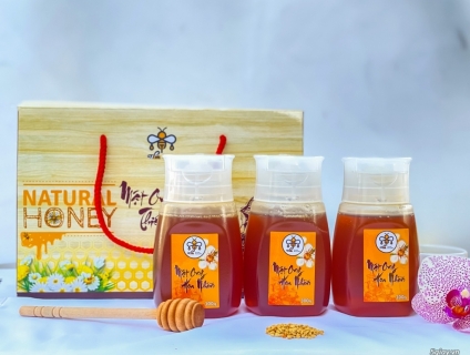 Combo 3 Chai Mật Ong Hoa Nhãn 300g TẶNG KÈM hộp đựng sang trọng