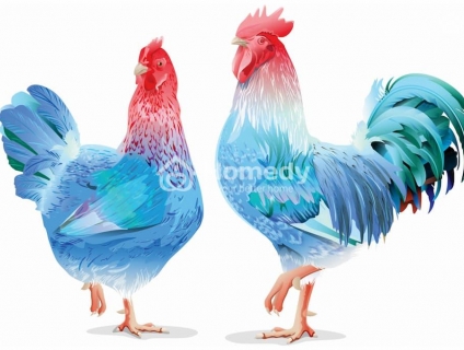 1993 mệnh gì, hợp hướng nào?