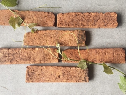 Gạch Thẻ Cổ Ốp Tường Giá Rẻ Nhất tại TPHCM