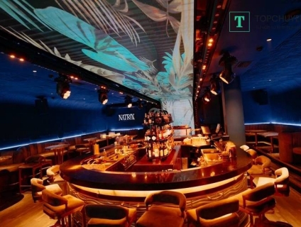 NATRIX CÓ DÀN  ÂM THANH CHẤT LƯỢNG ĐẾN MỨC NÀO?