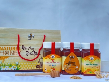 COMBO 03 CHAI MẬT ONG HOA NHÃN loại 500g Tặng kèm hộp đựng