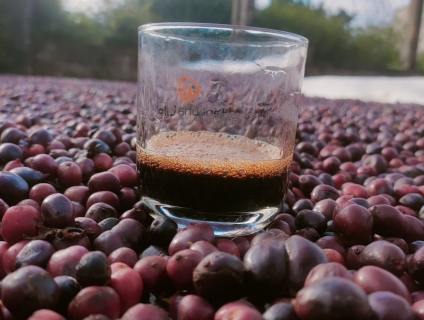 Cung cấp cafe nguyên chất cho quán giá tốt